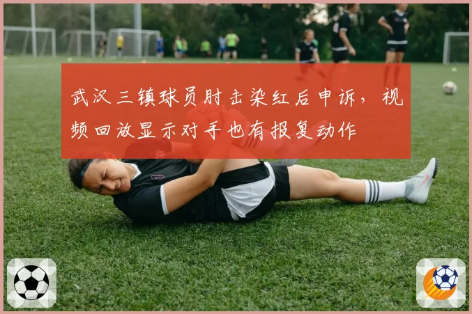武汉三镇球员肘击染红后申诉，视频回放显示对手也有报复动作