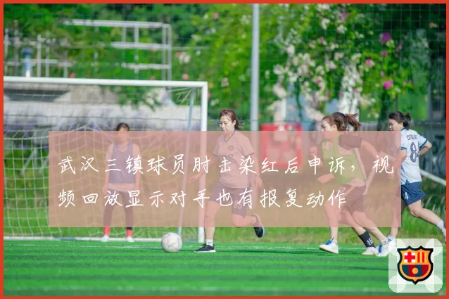 武汉三镇球员肘击染红后申诉,视频回放显示对手也有报复动作