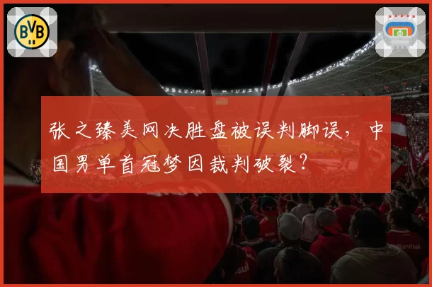 张之臻美网决胜盘被误判脚误，中国男单首冠梦因裁判破裂？