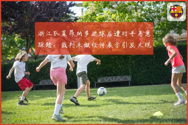 浙江队莱昂纳多进球后遭对手恶意踩踏，裁判未做任何表示引发大规模冲突