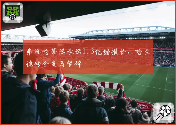 弗洛伦蒂诺承诺1.3亿镑报价，哈兰德转会皇马梦碎