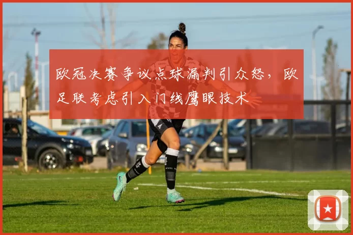 欧冠决赛争议点球漏判引众怒，欧足联考虑引入门线鹰眼技术