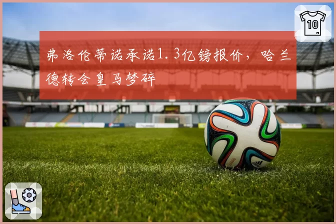 弗洛伦蒂诺承诺1.3亿镑报价，哈兰德转会皇马梦碎