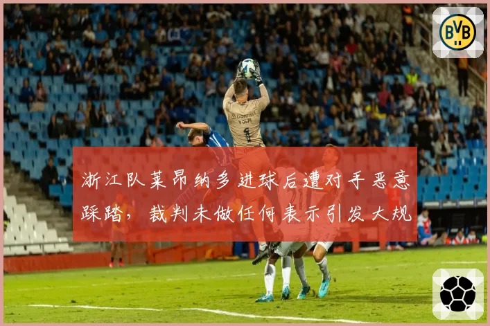 浙江队莱昂纳多进球后遭对手恶意踩踏，裁判未做任何表示引发大规模冲突